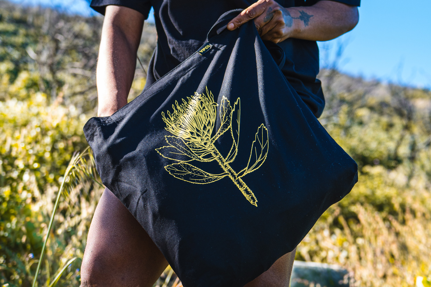 Protea-illustration-viper-slacklines